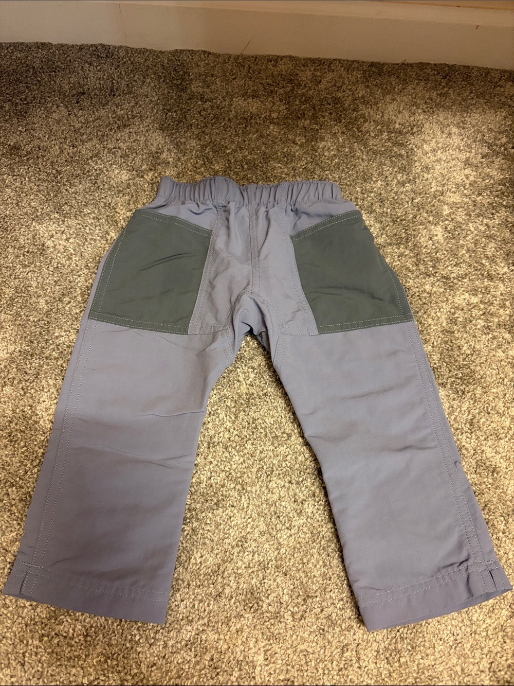 Patagonia Pants 3T